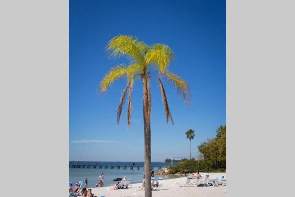 Bay View, Studio206, Beach Steps Away! Pool+Wifi 拉斯金 外观 照片